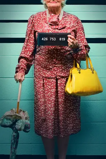 Постер к сериалу "My Strange Arrest" #1510968