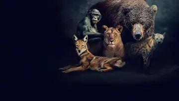Задник к сериалу "Королевы" #1851208
