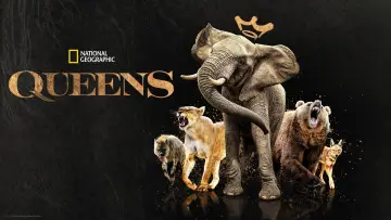 Задник к сериалу "Королевы" #1851211