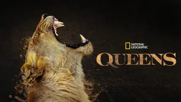 Задник к сериалу "Королевы" #1851212