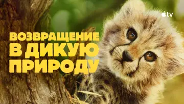 Задник к сериалу "Возвращение в дикую природу" #1503636