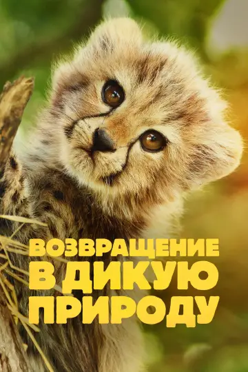 Возвращение в дикую природу (2025)