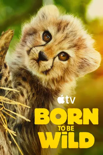 Постер к сериалу "Возвращение в дикую природу" #1503654