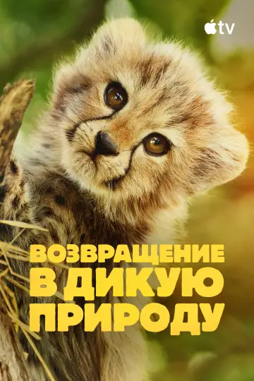 Постер к сериалу "Возвращение в дикую природу" #1503656