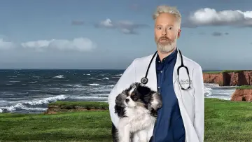 Задник к сериалу "Temps de chien" #1673423