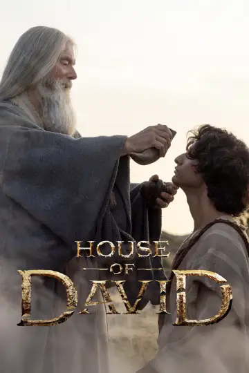 Постер к сериалу "Дом Давида" #1332344