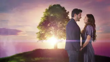 Задник к сериалу "El amor no tiene receta" #1813406
