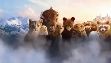 Задник к сериалу "Америка" #1412444