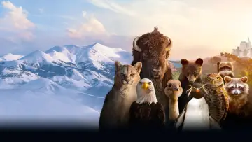 Задник к сериалу "Америка" #1412445