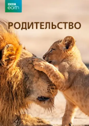 Мини-сериал