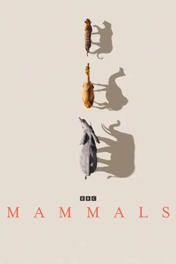Постер к сериалу "Млекопитающие" #1820275