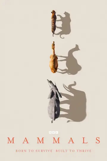 Постер к сериалу "Млекопитающие" #1820277