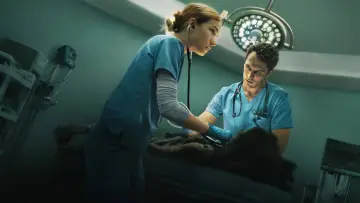 Задник к сериалу "Пульс" #1490584