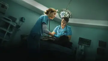 Задник к сериалу "Пульс" #1490587