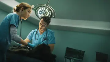 Задник к сериалу "Пульс" #1490588