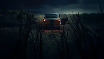 Задник к сериалу "Флорентийский монстр" #1485673