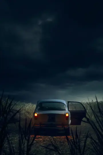 Постер к сериалу "Флорентийский монстр" #1485689