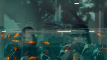 Задник к сериалу "Первый мороз" #1378258