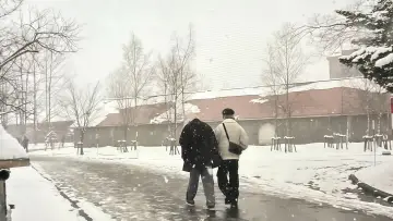 Задник к сериалу "Вы уверены?!" #1489448