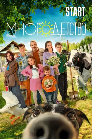 Многодетство постер