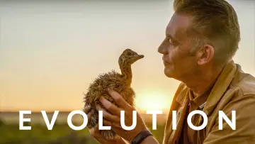 Задник к сериалу "Evolution" #1601090