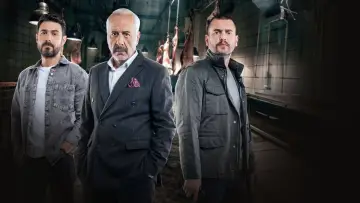 Задник к сериалу "Агент" #1606058