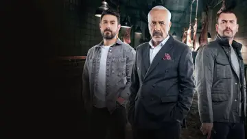 Задник к сериалу "Агент" #1606059