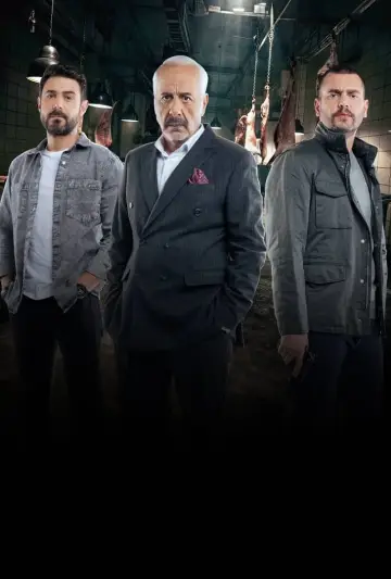 Постер к сериалу "Агент" #1606062