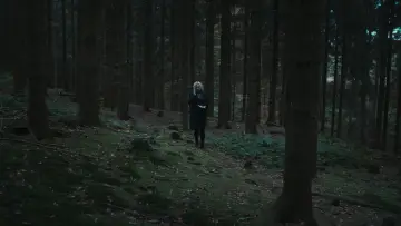 Задник к сериалу "Лес" #1673536