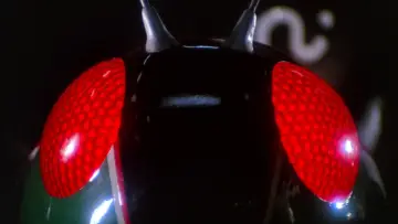 Задник к сериалу "仮面ライダーBLACK" #1537868
