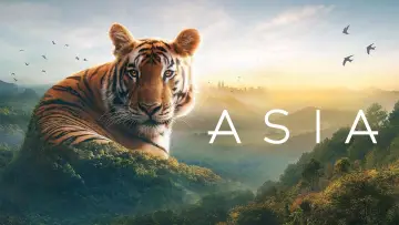 Задник к сериалу "Азия" #1479710