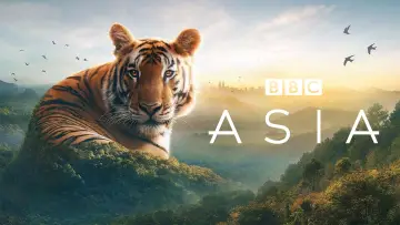 Задник к сериалу "Азия" #1479711