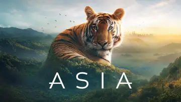 Задник к сериалу "Азия" #1479712