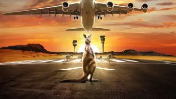 Задник к сериалу "Airport 24/7" #1605921