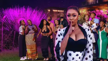 Задник к сериалу "Love Never Lies: South Africa" #1561171