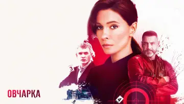 Задник к сериалу "Овчарка" #1561165