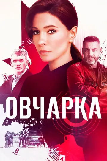 Овчарка постер