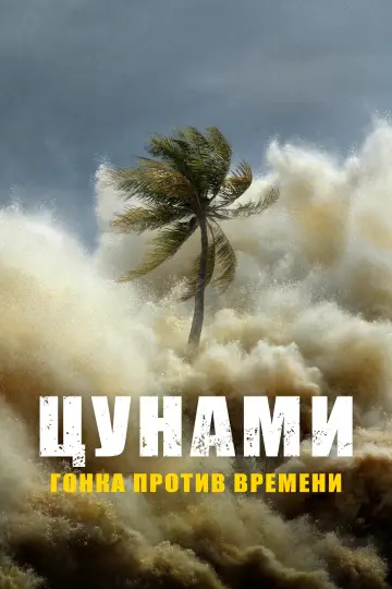 Цунами: наперегонки со временем (2024)