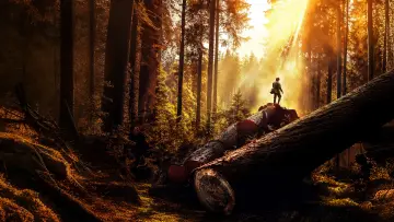 Задник к сериалу "The Last Woodsmen" #1477405
