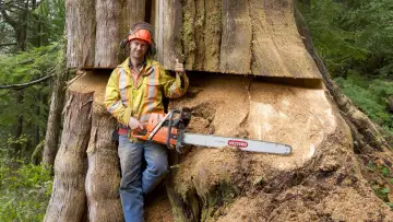 Задник к сериалу "The Last Woodsmen" #1477407