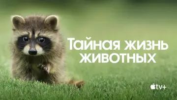 Задник к сериалу "Тайная жизнь животных" #1490865
