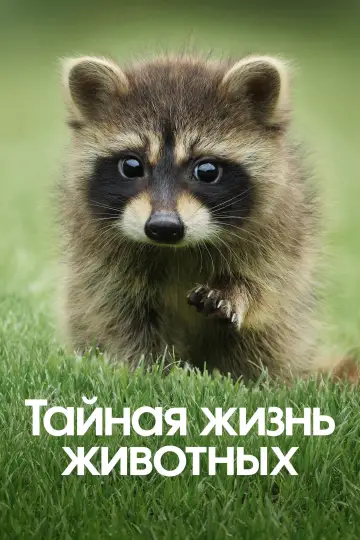 Постер к сериалу "Тайная жизнь животных" #1490886
