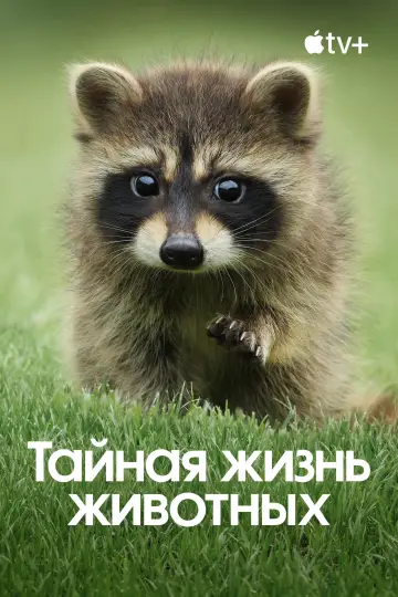 Постер к сериалу "Тайная жизнь животных" #1490891