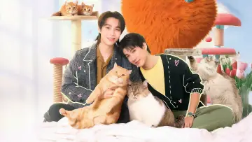Задник к сериалу "Кот за деньги" #1486588