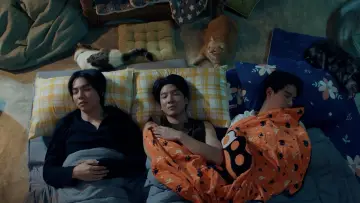 Задник к сериалу "Кот за деньги" #1486598