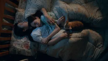 Задник к сериалу "Магазин китов xoxo" #1506404