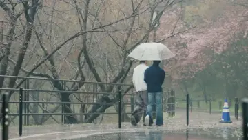 Задник к сериалу "Дуанг с тобой" #1341490