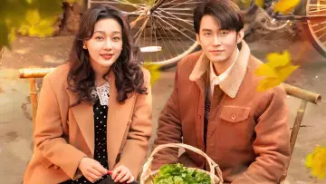 家里家外 постер