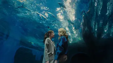 Задник к сериалу "Дизайн любви" #1480954