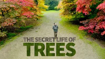 Задник к сериалу "The Secret Life of Trees" #1677273
